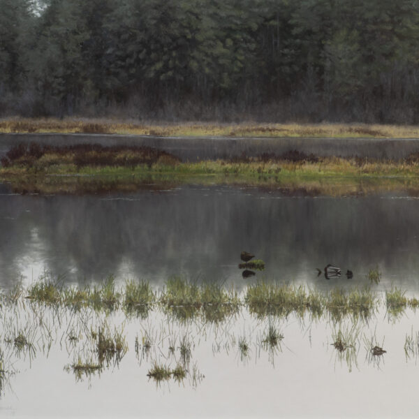 Morning Stillness