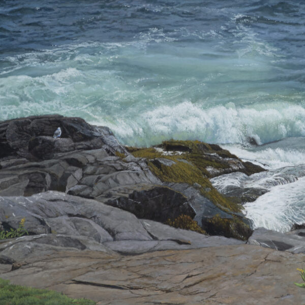 Colors of Monhegan