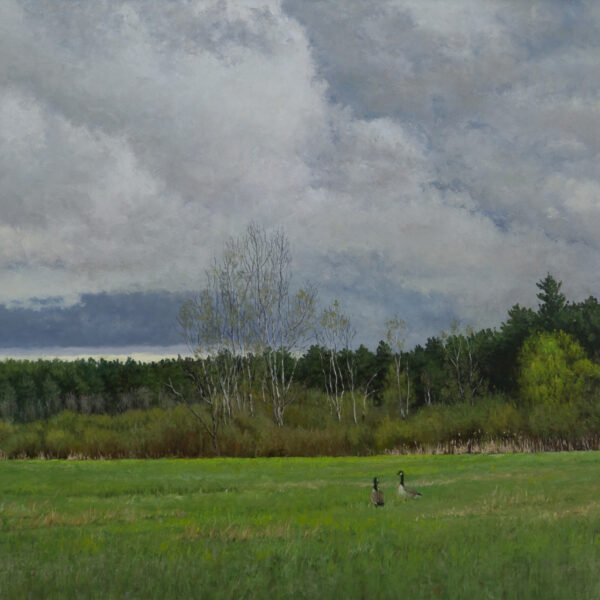 Approach of Spring Storm