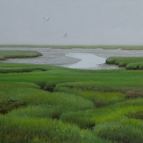 Patterns in a Spring Marsh