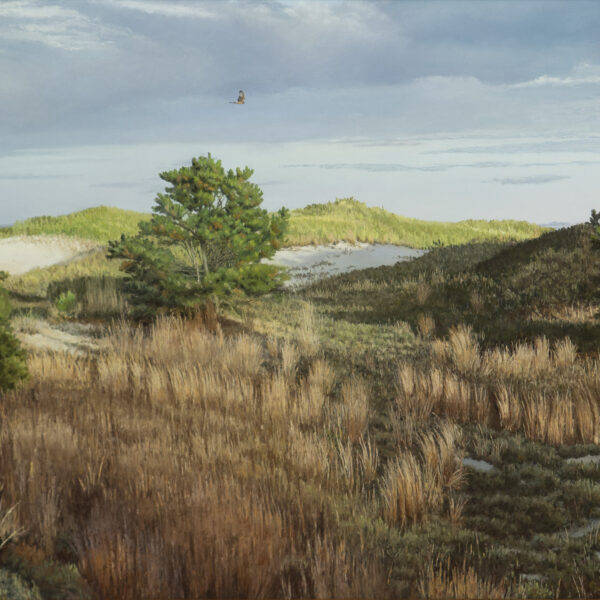 October Dunes