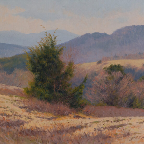 Mt. Tom in Spring, Woodstock, Vermont