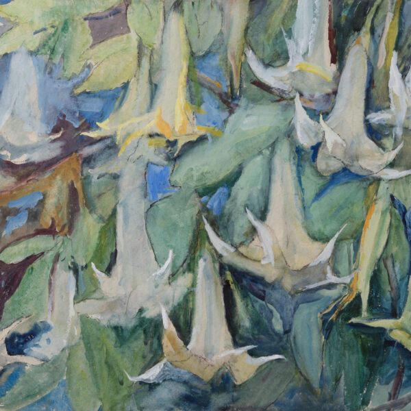 Angel Trumpet Flowers