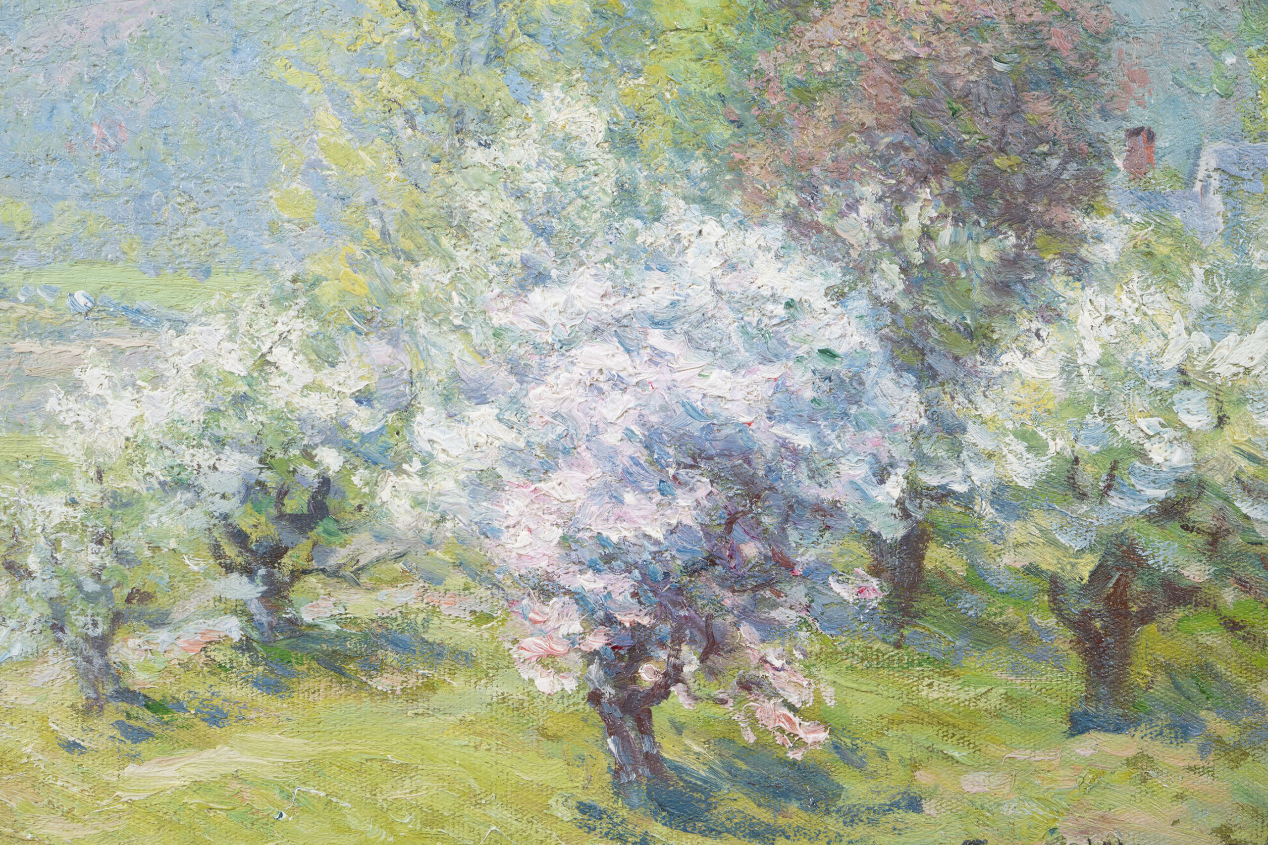 Blossoming Trees - Image 3