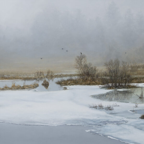 Early Redwings