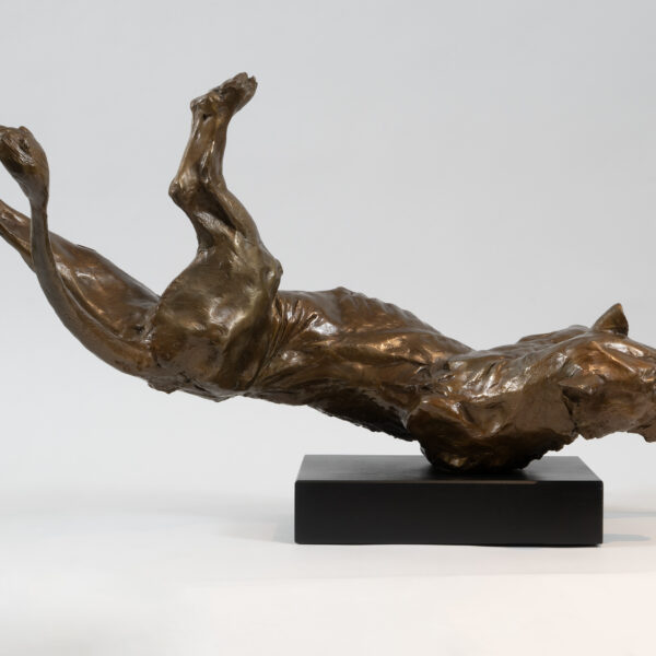 Tumbling Lioness