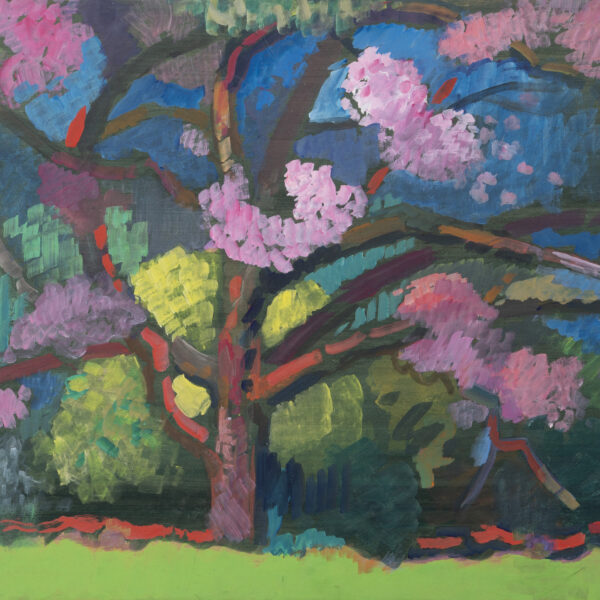 Spring Cherry Tree