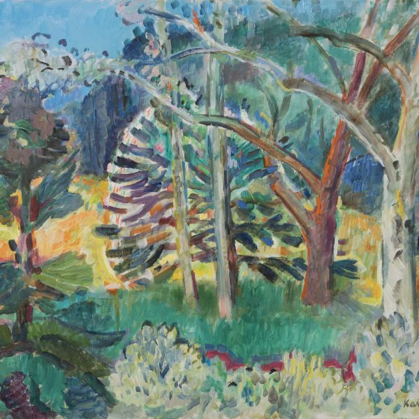 Trees Surrounded by Light
