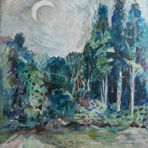 Edge of the Woods at Night
