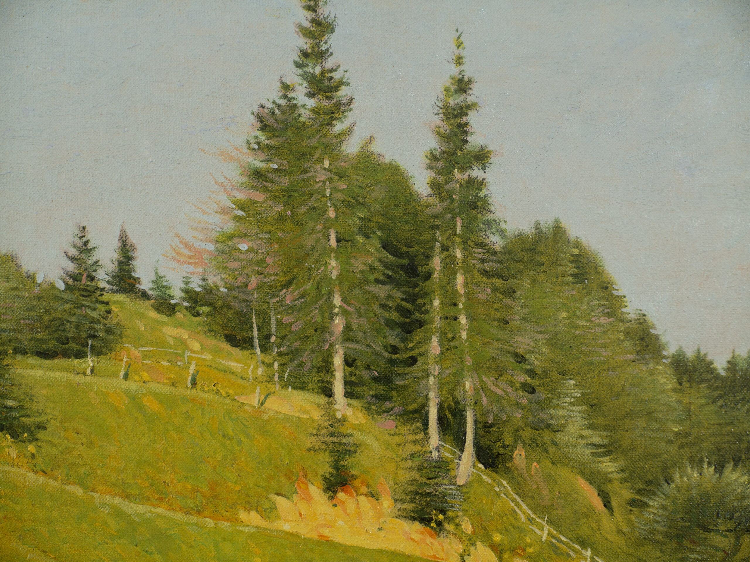 Late Spring - Image 3