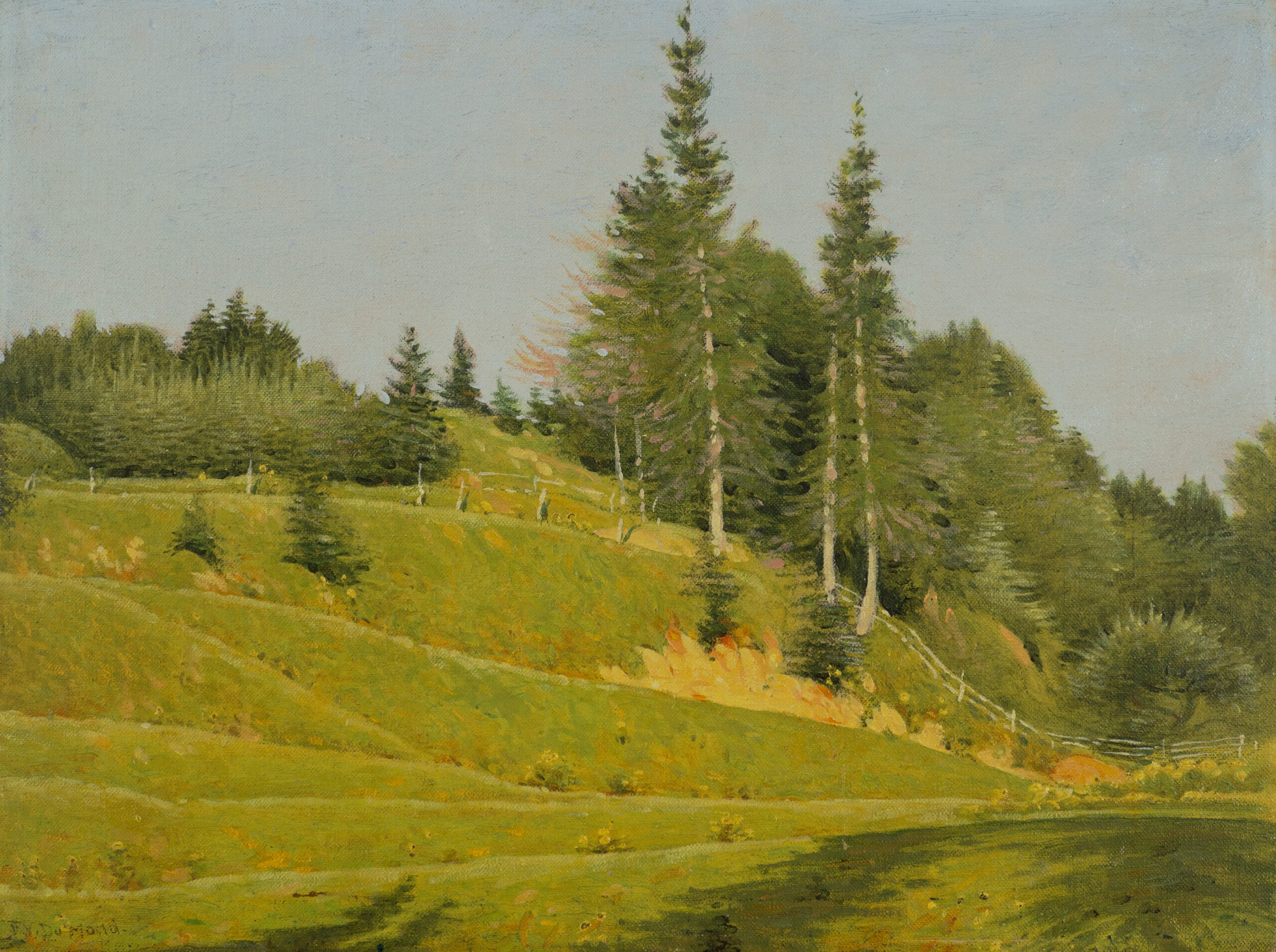 Late Spring