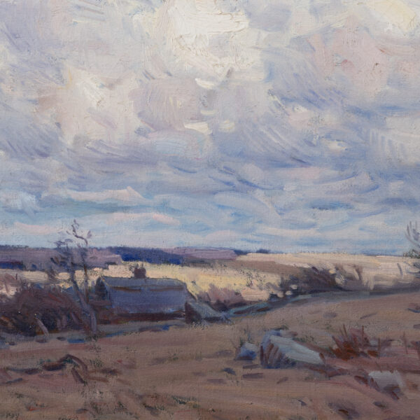 Overcast Landscape