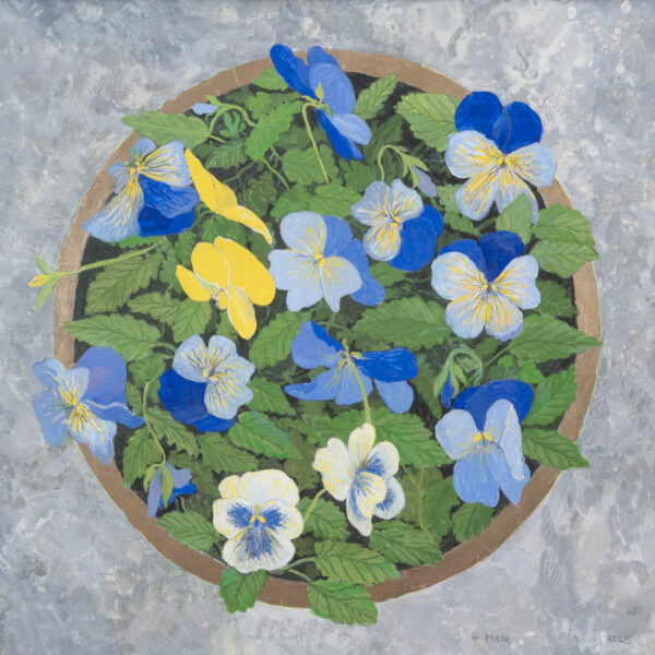 Pansies in Golden Circle