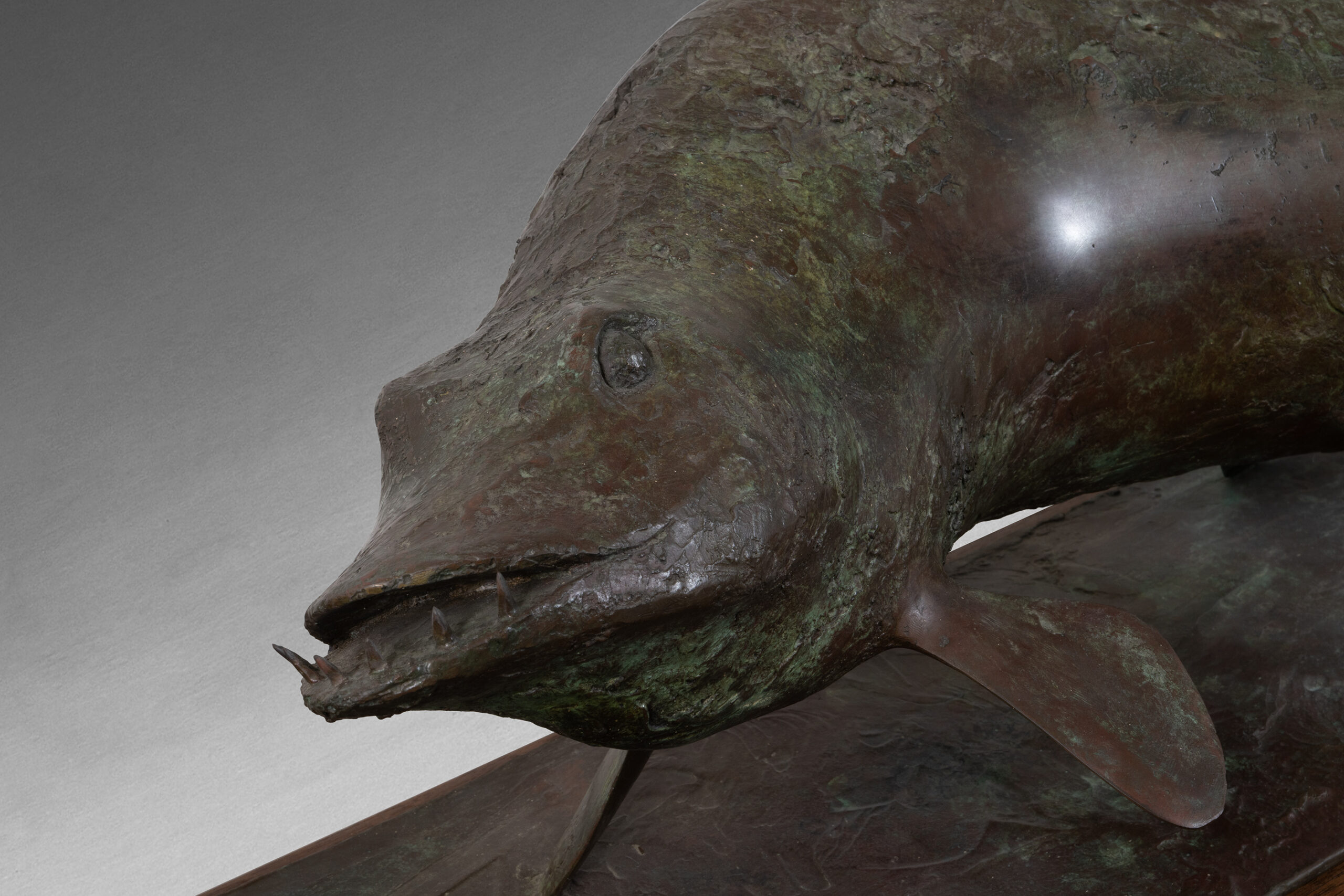 Pike - Image 3
