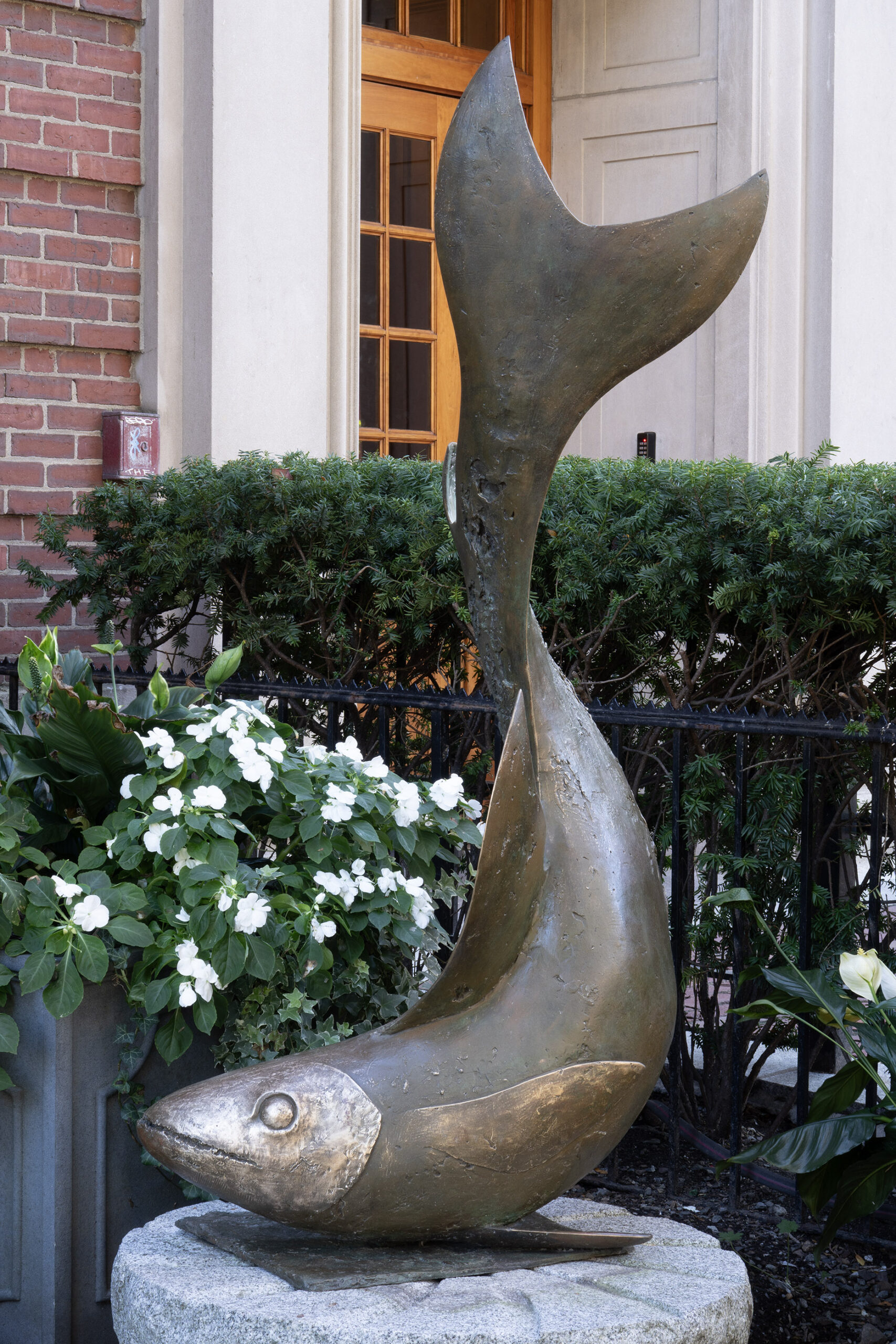 Plunging Fish - Image 3