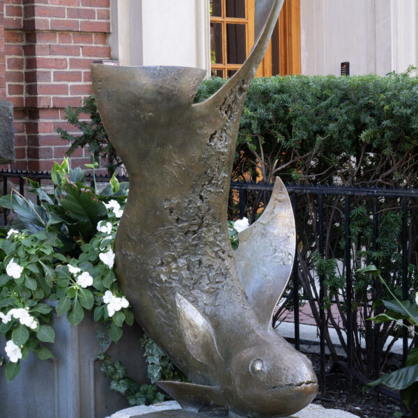 Plunging Fish