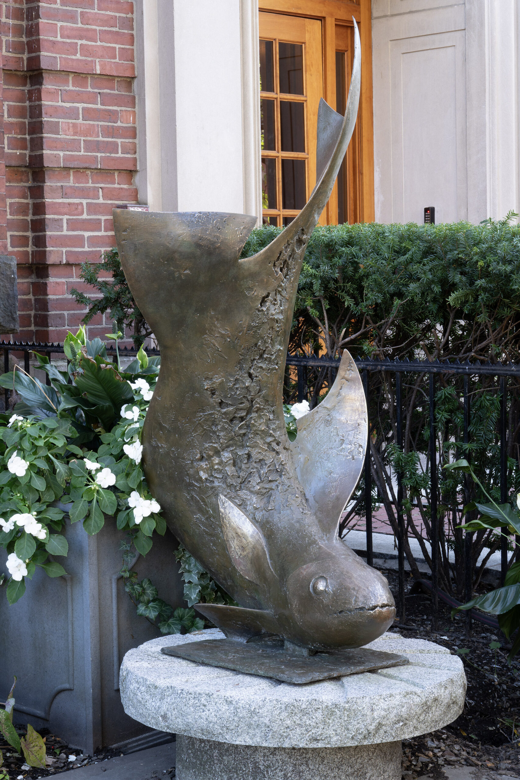 Plunging Fish