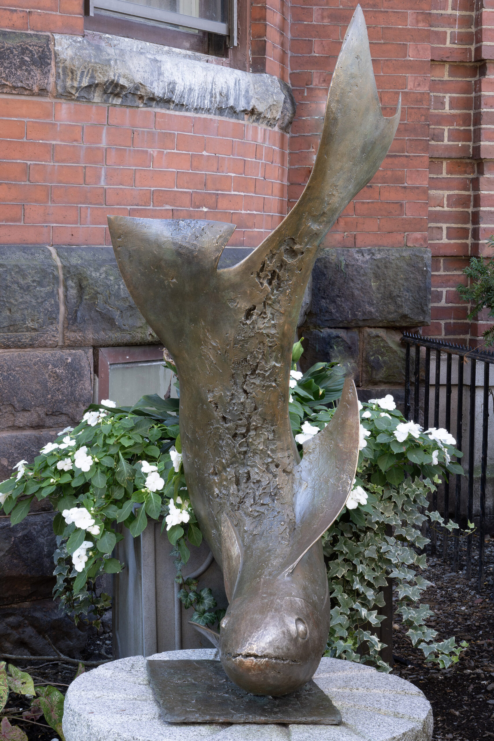 Plunging Fish - Image 2
